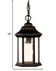 Antique Black Textured Glass Lantern Hanging Light