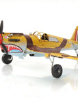c1941 Curtiss Hawk 81A Sculpture