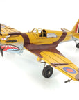 c1941 Curtiss Hawk 81A Sculpture
