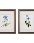 Set of Two Watercolor Dark Blue Flowers Wall Art
