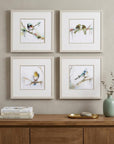 Set of Four Colorful Birds on Branches Wall Art