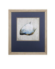 Set of Two Ocean Seashells Wall Art