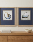 Set of Two Ocean Seashells Wall Art