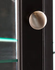 Elegant Black Lighted Curio Cabinet