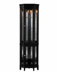 Elegant Black Lighted Curio Cabinet
