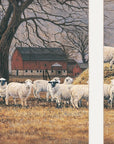 Wool Gathering 2 White Framed Print Wall Art