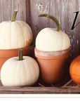 Welcome Pumpkin Shelf 1 White Framed Print Wall Art
