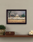 Wool Gathering 1 Black Framed Print Wall Art