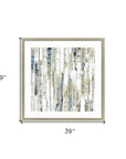 Visionaire Silver Framed Print Wall Art