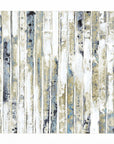 Visionaire Silver Framed Print Wall Art