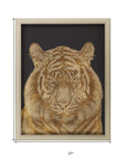 Wild Tiger Portrait Gold Framed Print Wall Art