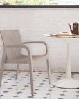 Set of Two Taupe Faux Rattan Heavy Duty Plastic Outdoor Stacking Arm Chairs