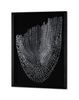 Wild Badlands Black Shadowbox Textual Art Wall Art
