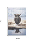 Wild Ox Hand Painted Distressed Unframed Wall Art