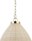 Brown Single Metal Dimmable Ceiling Light With Brown Shades