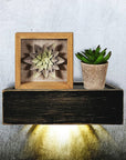 10" Black Distressed Wood Wall Mounted Floating Shelf With LED