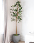 84" Green Olive Artificial Tree in a Black Pot