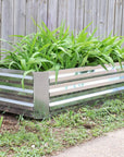 12" X 48" Silver Metal Rectangular Raised Garden Bed