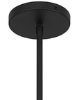 10" Black And White Frosted LED Dimmable Outdoor Globe Hanging Light