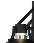 Black Transparent LED Dimmable Outdoor Hanging Light