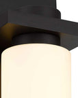 Bronze Colorful LED Dimmable Outdoor Hanging Light