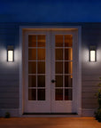 Bronze Colorful LED Dimmable Outdoor Hanging Light