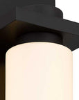 Bronze Colorful LED Dimmable Outdoor Hanging Light