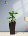 Set of Two Brown Recycled Plastic Round Self Watering Planter Box