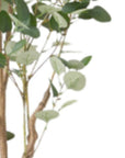 71" Green Artificial Eucalyptus Tree In Cylindrical Black Pot