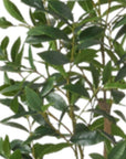64" Green Artificial In Cylindrical Black Pot