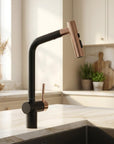 5" Black Stainless Steel Bar Faucet