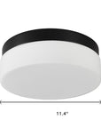 11" Black Metal And Glass Flush Mount Ceiling Light