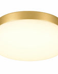 11" Black Metal And Frosted Glass Flush Mount Ceiling Light