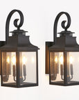 Black Two Light Transparent Outdoor Hanging Lights With Clear Shades