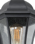 Black Transparent Outdoor Hanging Light With Clear Shades