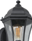 Black Transparent Outdoor Hanging Light With Clear Shades