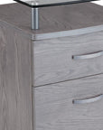 Gray Glass And Metal Two Drawer Rolling Filing Cabinet