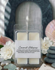 Set of Six Ivory Rose Petal Scented Soy Wax Melts