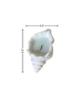 6" Light Blue Sea Salt And Orchid Scented Soy Wax Candle In White Resin Novelty Holder