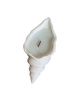 6" Light Blue Sea Salt And Orchid Scented Soy Wax Candle In White Resin Novelty Holder