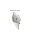 6" Light Blue Sea Salt And Orchid Scented Soy Wax Candle In White Resin Novelty Holder