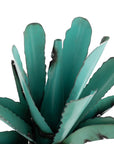 11" Turquoise Metal Succulent Garden Hanging Wall or Door Decor