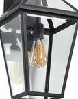 Black Transparent Outdoor Hanging Light