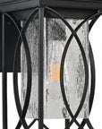 Black Transparent LED Outdoor Hanging Light