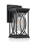 Black Transparent LED Outdoor Hanging Light