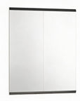 Set of Two 71" X 31" Frameless Work Out Mirrors