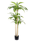 60" Green Artificial Dracaena Tree In Round Black Pot