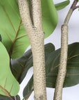 72" Green Artificial Fiddle Leaf Tree In Round Black Pot