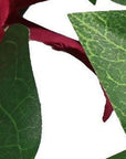 84" Red Artificial Flowering Tree In Round White Planter
