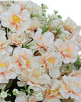 Set of Two 24" Pink Artificial Flowering Tree In Round Black Pot